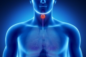 Improving Thyroid Function Naturally